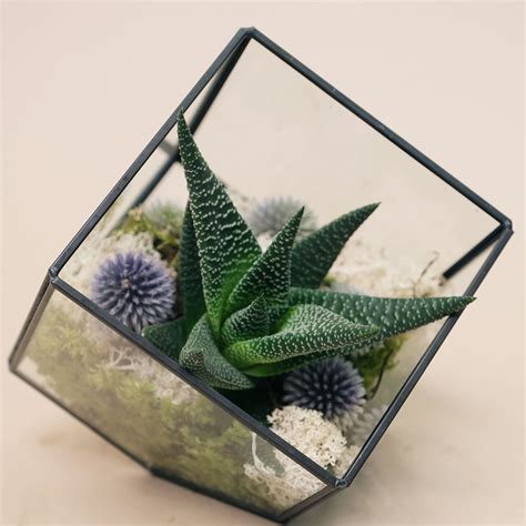 Succulent Modern – Flowerz