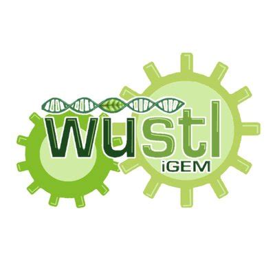 Team Washu Stlouis Igem Org