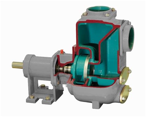 Self Priming Centrifugal Pumps Nz Pump And Valve