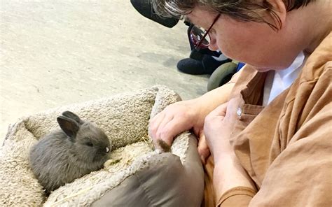 Fotos Tiertherapie im Jüchener Altenheim