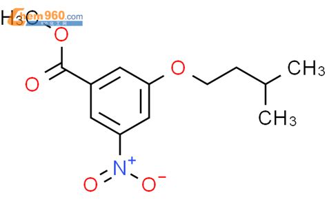 661479 01 2 Benzoic acid 3 3 methylbutoxy 5 nitro methyl esterCAS号