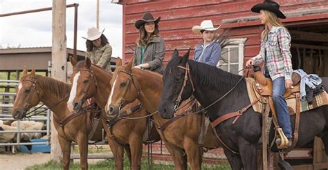 30 Heartland Horse Names List (Heartland TV Show)