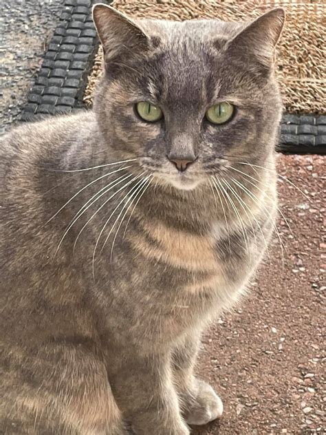 Online-only delivery is the future of the state gazette