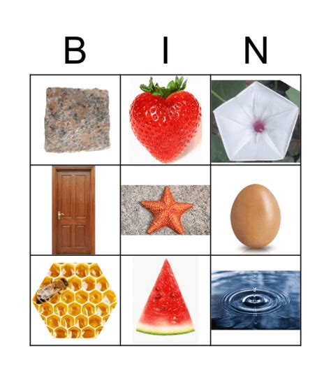 Shapes in Nature Bingo Card