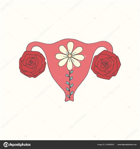 Uterus Female Body Hand Drawing Vector Illustration Stock Vector By