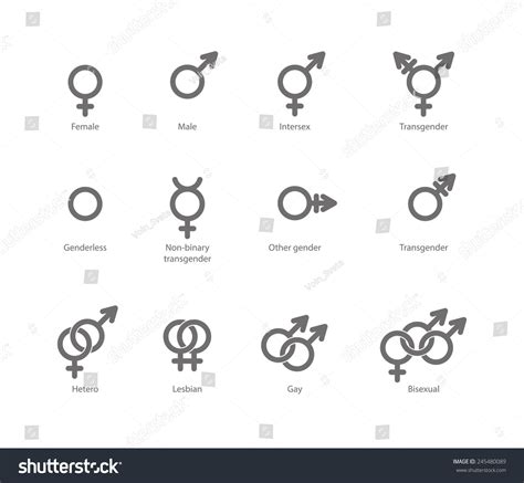 Vector Outlines Icons Gender Symbols Combinations Stock Vector 245480089 Shutterstock