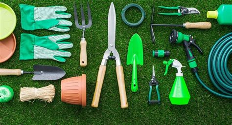 Most Essential Gardening Tools And Equipment For Beginners