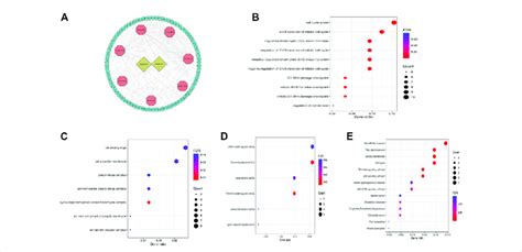 A The Cerna Network Diagram Of Lncrnas In M6a Lps And Their Target Download Scientific