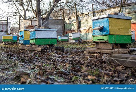 Pintar Colmenas Con Colores Diferentes Para Atacar Mejor Las Abejas