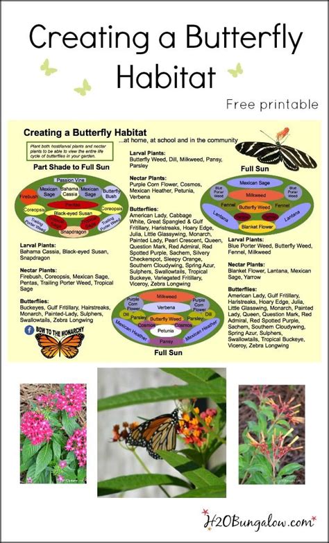 Budget DIY Landscaping Part Two | Butterfly garden design, Butterfly garden plants, Butterfly ...