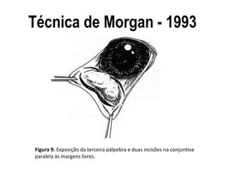 Prolapso de Terceira Pálpebra Tecnica Cirurgica PPT