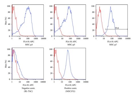 Flow Cytometric Characterization Of Mhc Class I Expression In Bone