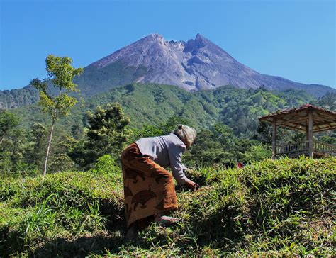 FOTO Ketenangan Warga Lereng Gunung Merapi Sepanjang 2019