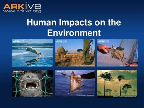 Ppt Human Impacts On The Environment Powerpoint Presentation Free