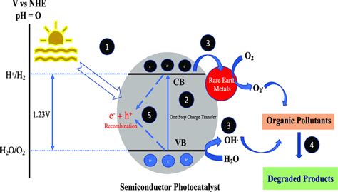 Schematic Diagram Showing The Mechanism Of Photocatalytic Degradation