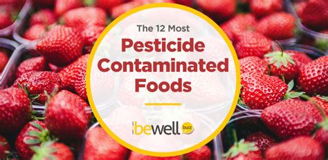 The 12 Most Pesticide Contaminated Foods You Need To Know Bewellbuzz