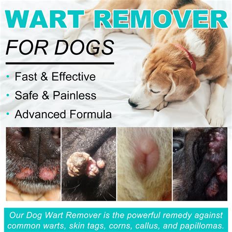 Elaimei Pet Wart Remover Dog Cat Skin Tags Painless Treatment