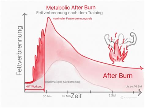 Das Geheimnis Der Fettverbrennung Metabolic Afterburn