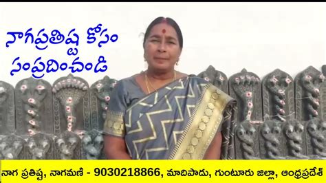 నాగ ప్రతిష్ట ఎందుకు చేసుకోవాలి Naga Pratishta Naga Dosham Youtube