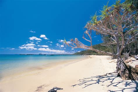 Kingfisher Bay Resort Fraser Island 3 Day Package Fraser Island