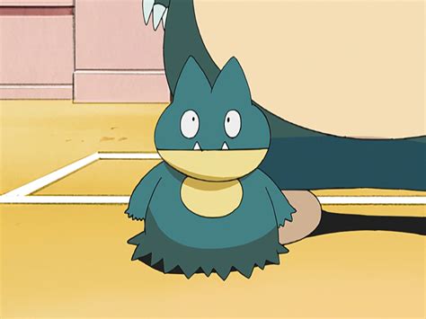 Kylies Munchlax Pokémon Wiki Fandom