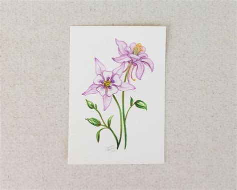 Delicate Columbine An Original Watercolor Painting Joanna Baker