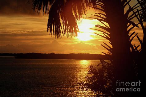 Sunset Pirates Cove Photograph By Robley Buckman Fine Art America