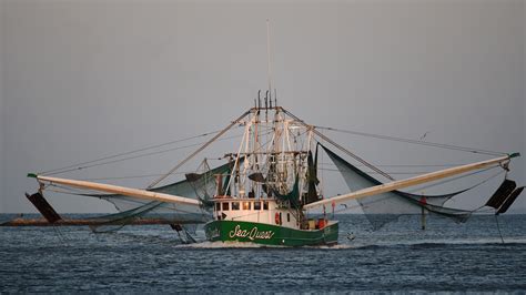Recovery mixed for coastal fishermen