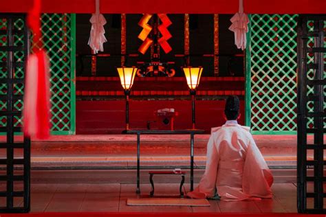 Japan is back, as cruise options step up | The West Australian