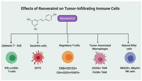 Molecules Free Full Text Recent Advancements On Immunomodulatory