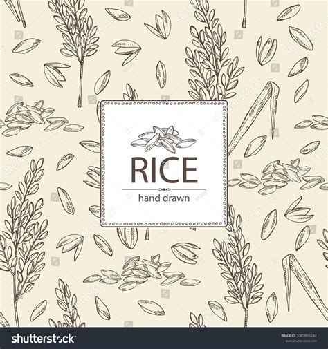 Label Design Packaging Design Logo Design Graphic Design Logo Rice