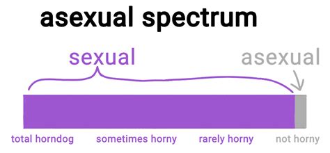 Asexual Spectrum R Actualasexuals