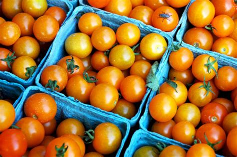 Golden Tomatoes - O‘ahu Fresh