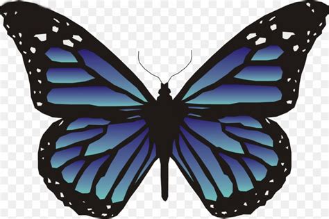 Animated Butterfly ClipArt