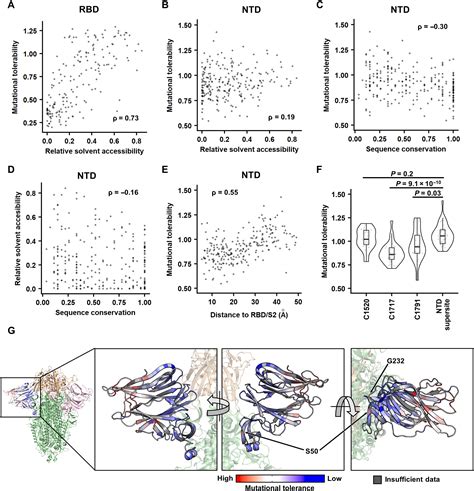 Probing The Biophysical Constraints Of Sars Cov Spike N Terminal