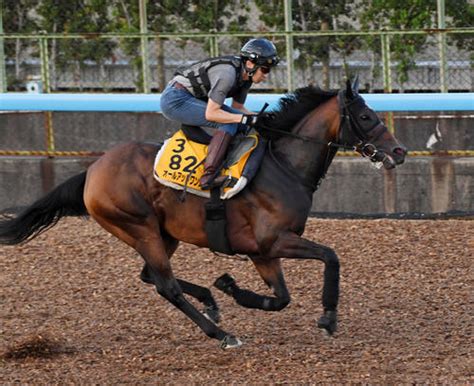 5歳馬オールアットワンスvs6歳馬レジェーロ 夏競馬好調の牝馬に注目／アイビスsd 競馬 日刊スポーツ