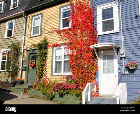 Newfoundland Cottages Hi Res Stock Photography And Images Alamy