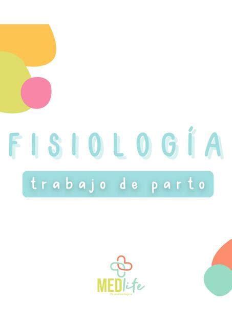 Fisiolog A Del Trabajo De Parto Medlife Andrea Udocz