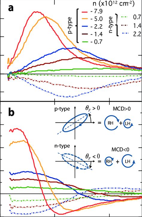 Electrostatic Sign Inversion Of Magnetic Circular Dichroism And Faraday