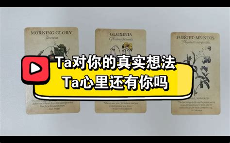 大众占卜｜ta对你的真实想法ta的心里还有你吗？哔哩哔哩bilibili