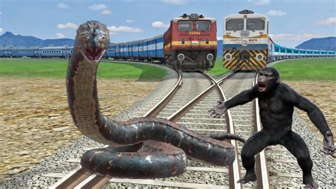 Anaconda And Gorilla Vs Two Trains Stops The Train Train