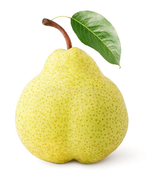 Yellow Pear Fruit With Leaf Isolated On White Stock Image Image Of