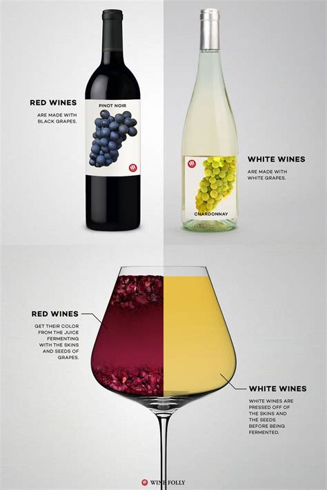 Red Wine Vs White Wine The Real Differences Wine Folly Wine Folly