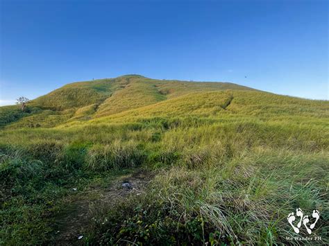 Mt Tagapo Talim Island Hiking Guide 2022 We Wander Ph