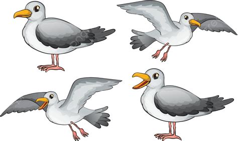 Four Birds Cartoon Seagulls Wings Vector Cartoon Seagulls Wings Png