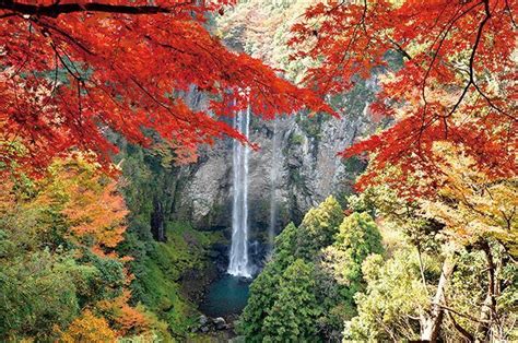 大分県宇佐市 紅葉鮮やか幻想的な「福貴野の滝展望台」 ファンファン福岡