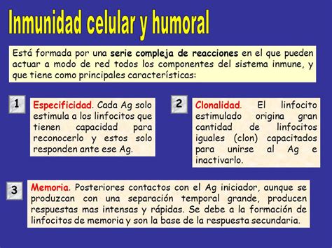 Respuesta Inmune De Tipo Celular Y Humoral Ppt Video Online Descargar