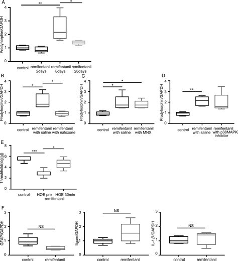 Spinal And Peripheral Mechanisms Individually Lead To The Development