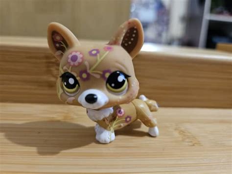 Littlest Pet Shop 1851 Tan Flower Corgi Dog Blythe Lps Puppy Dog Pet