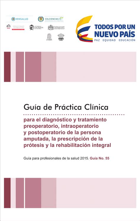 Pdf Guía De Práctica Clínica Para El Diagnóstico Y Tratamiento Preoperatorio Intraoperatorio